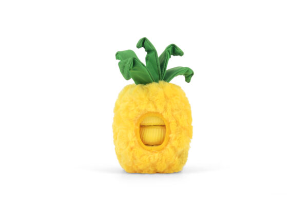 Ananas 3
