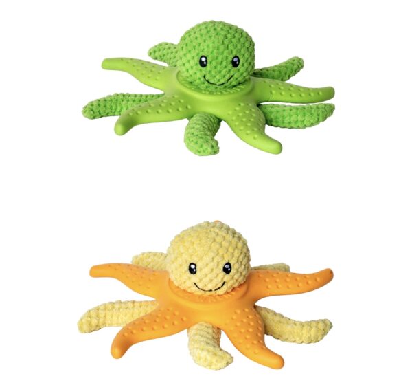 Kiwi Walker - Starfish & Octopus