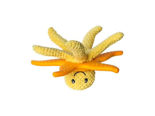 Kiwi Walker - Starfish & Octopus – Bild 12