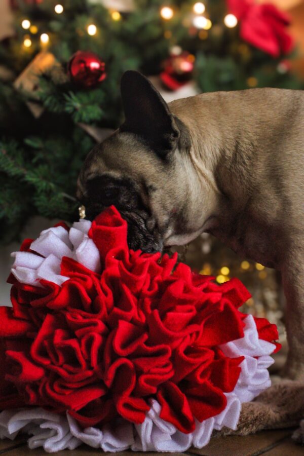 Schnüffel Weihnachtsmütze 🎅🏼 – Bild 3