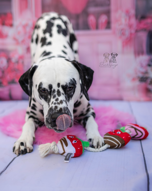 Covered with love – Bild 5