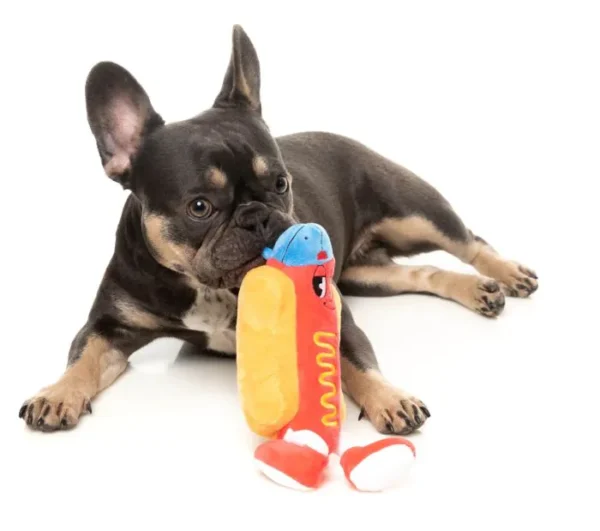 Franky – Bild 5