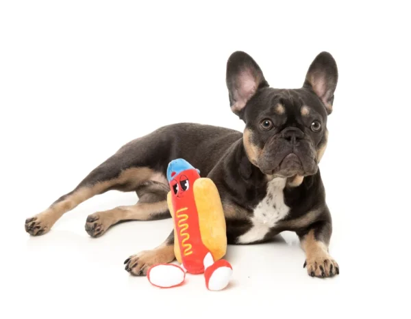 Franky – Bild 6
