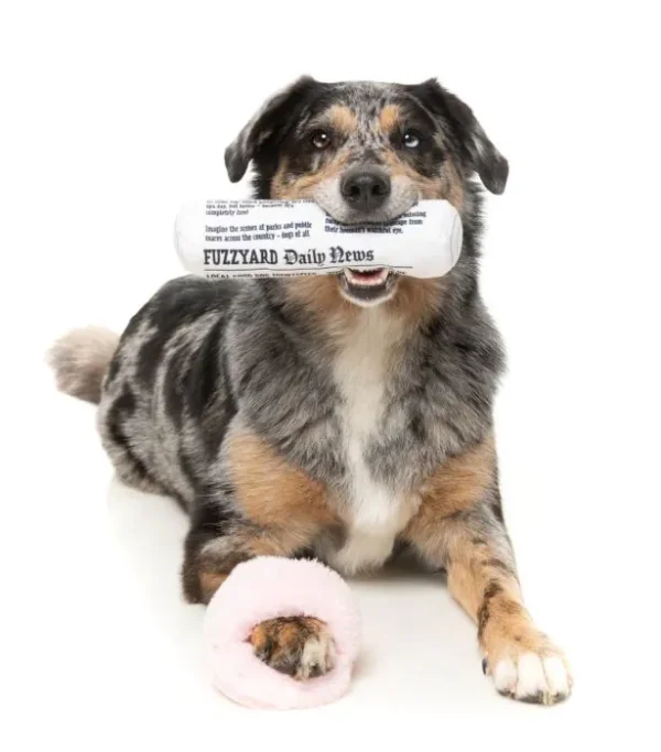 Fetch my slippers & paper 2 Stück – Bild 6