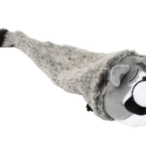 Run Along Raccoon - The Yeetz