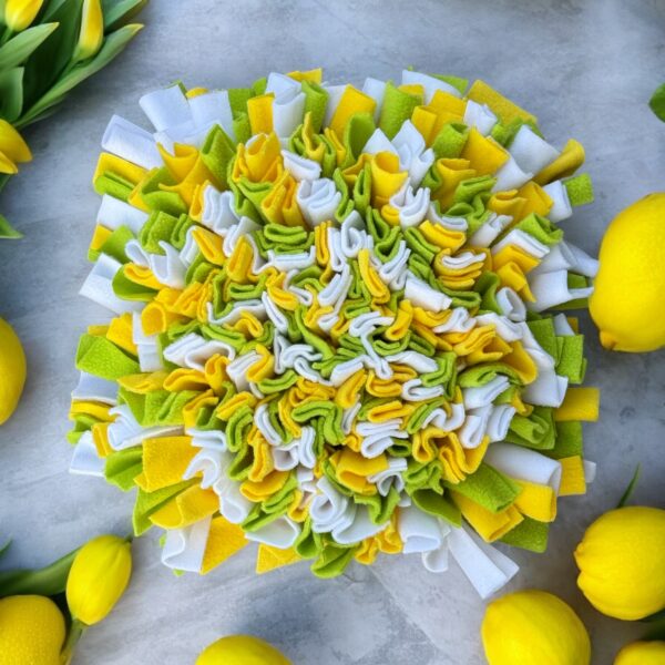 Sofortkauf Kleiner Schnüffelteppich Lemon