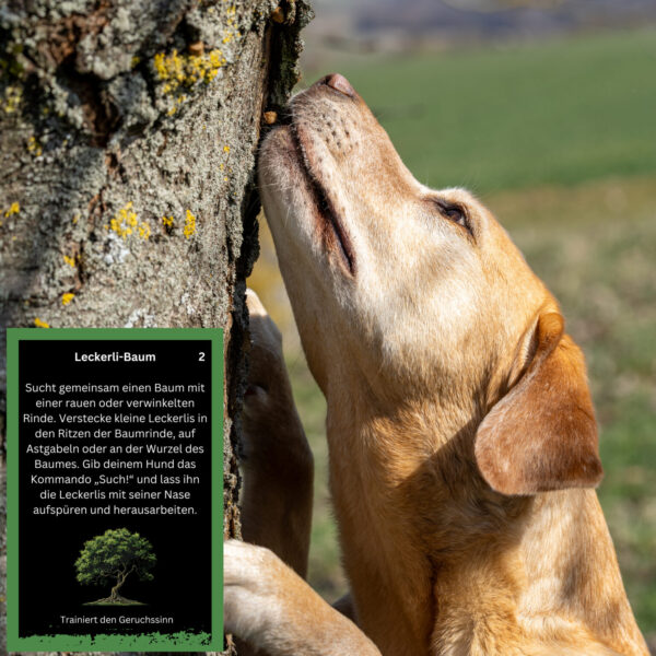EscapeDog – Bild 6