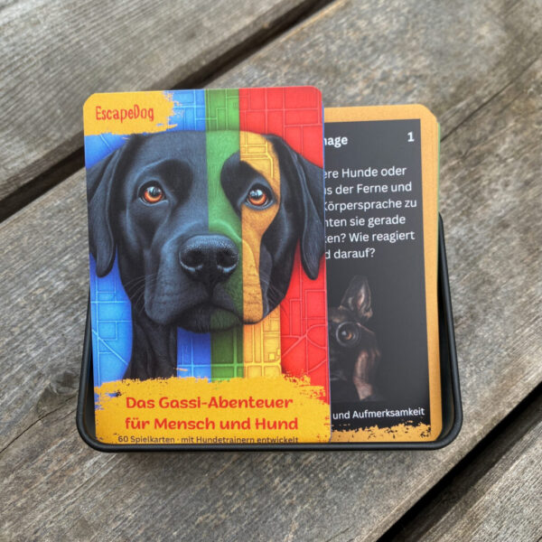 EscapeDog – Bild 10