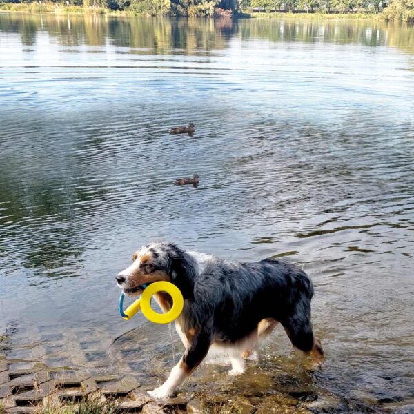 TPR Ring mit Seil und Griff – Bild 4