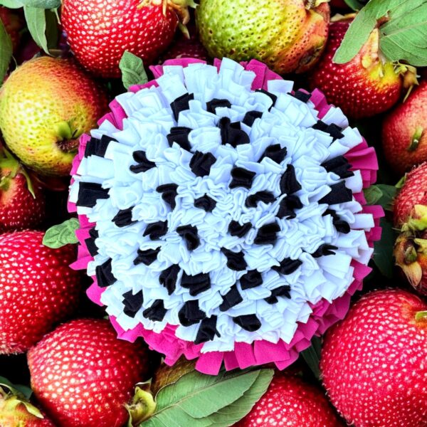 Großer Schnüffelteppich Drachenfrucht