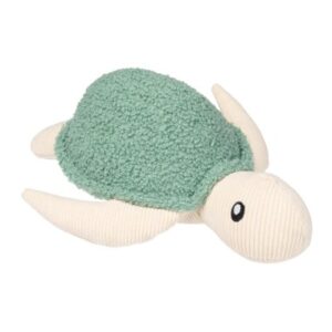 Myrtle Green Turtle