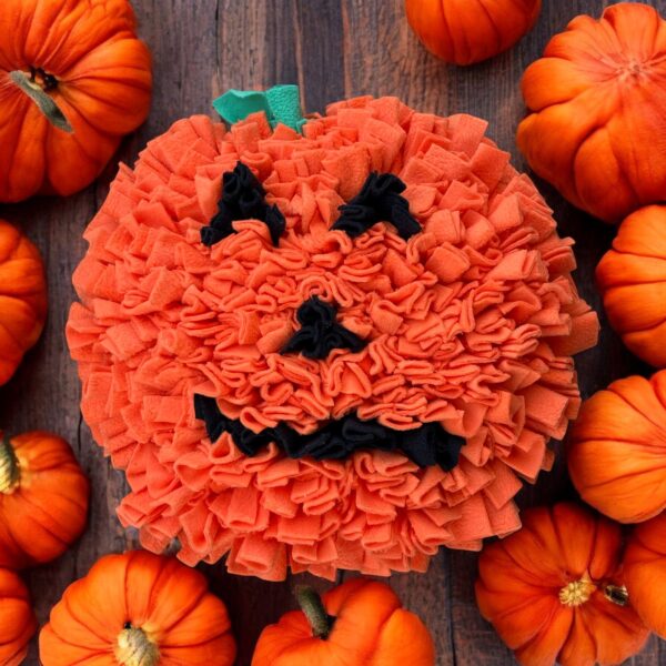 Sofortkauf Schnüffelteppich Halloween Kürbis 🎃