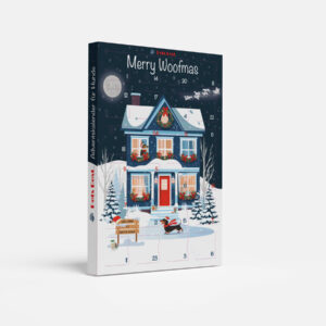 Adventskalender Santa's Moonlight Skates